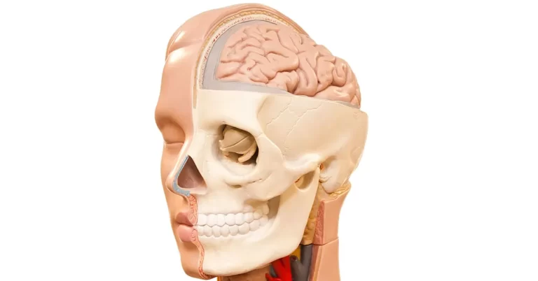جراحی کرانیوتومی یا عمل باز جمجمه