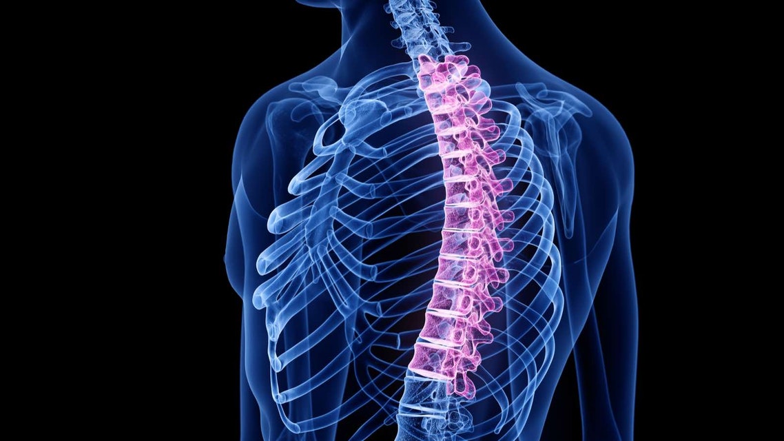 کیفوز ستون فقرات