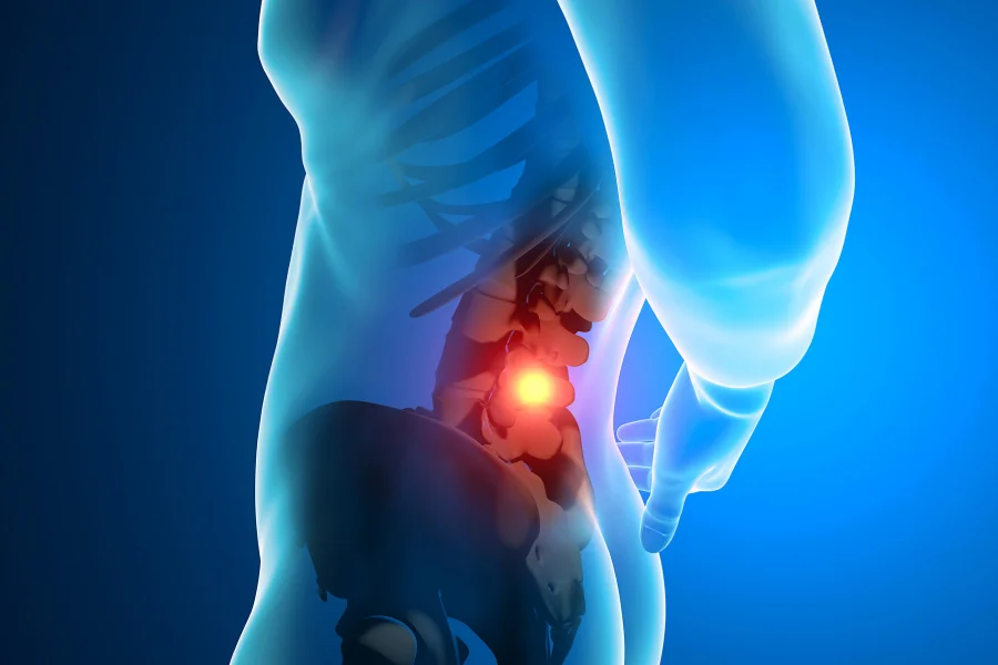 ورتبروپلاستی